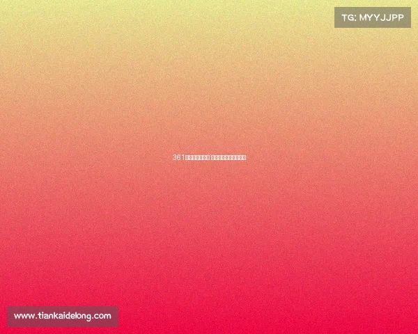 361度运动盛会启幕 点燃赛场激情挑战极限