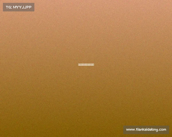 中国台北比赛放什么歌曲